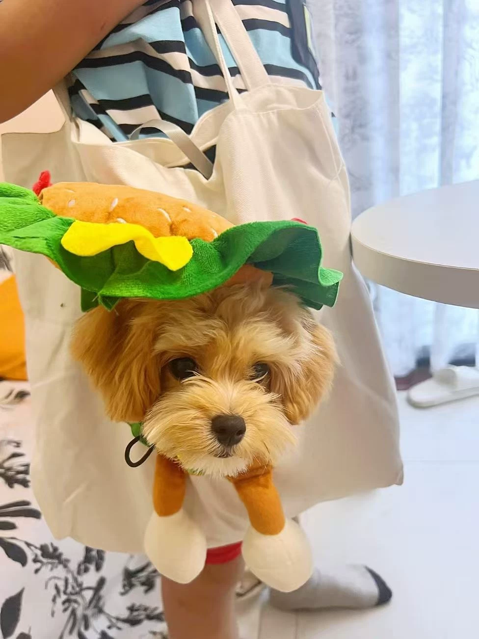 Small dog wearing plush costume inside the tote bag